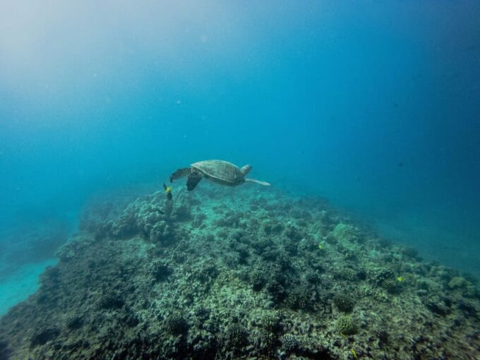 Private Discover Scuba Diving Class 1 - 2 People - Important Information