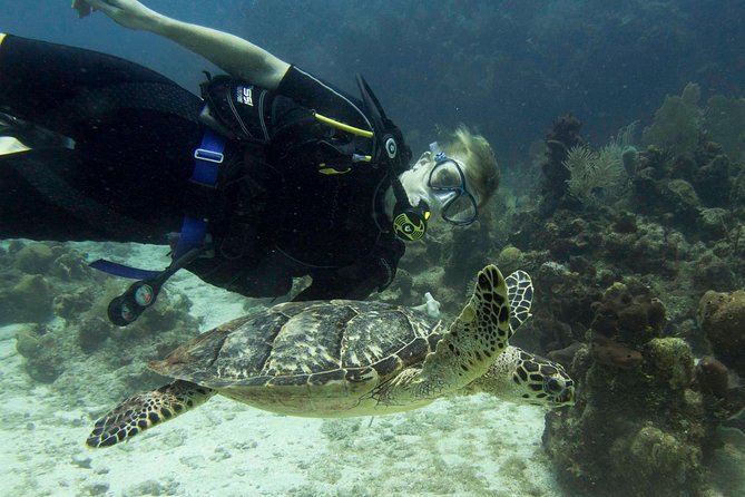 Private Discover Scuba Diving - Overview of Discover Scuba Diving