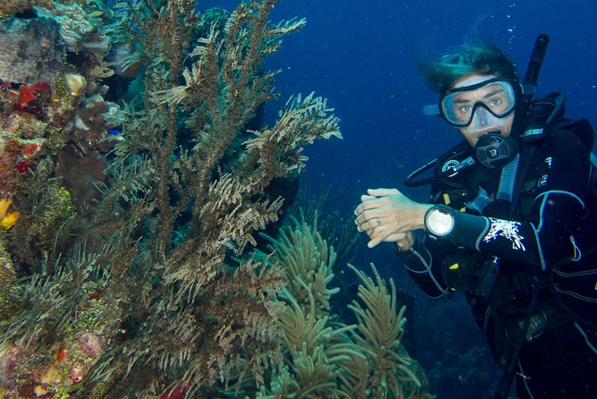Private Discover Scuba Diving - Exploring Roatans Beautiful Reefs