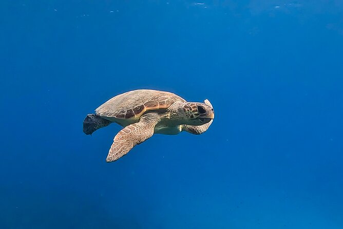 Private Discover Scuba Diving Experience in Messinia - Preparing for the Adventure