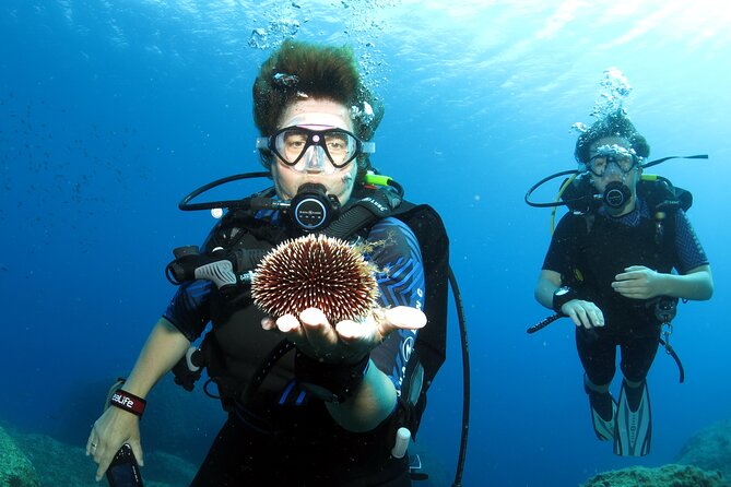 Private Discover Scuba Diving for Beginners in Athens With Pickup - Customer Feedback
