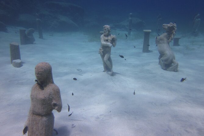 Private Discovery Dive + Photos & Videos - Cancellation Policy