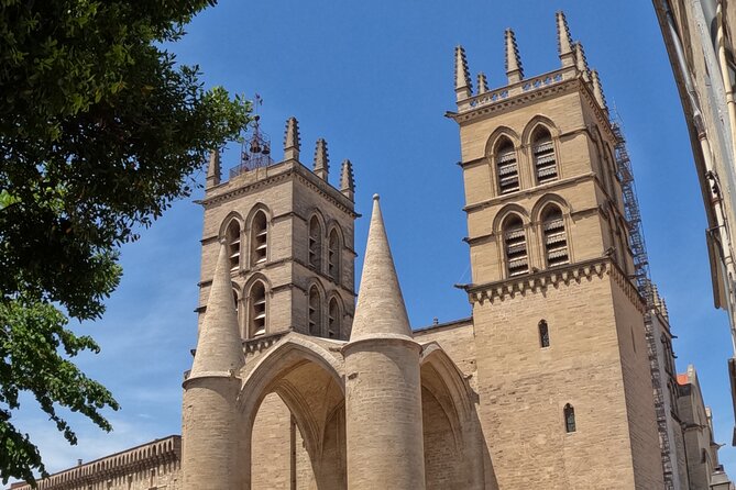 Private Discovery of Montpellier by Bike-Taxi - Tour Duration and Confirmation