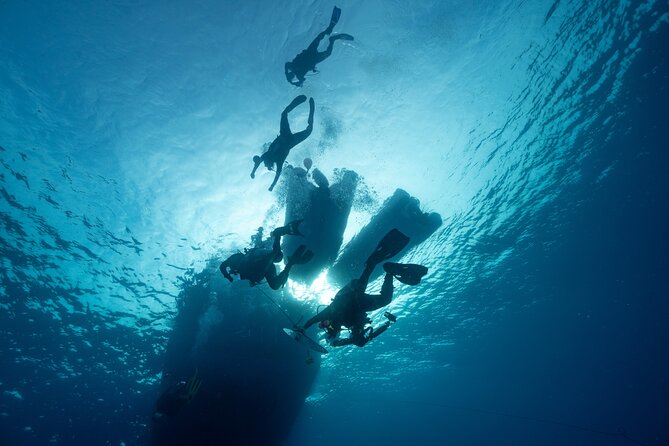 Private Discovery Scuba Diving With Sea Turtles - Flexible Scheduling Options
