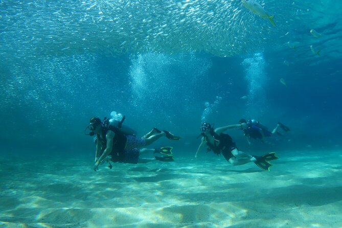 Private Dive Boat for Certified Divers - Cabo San Lucas - Meeting Point and Parking