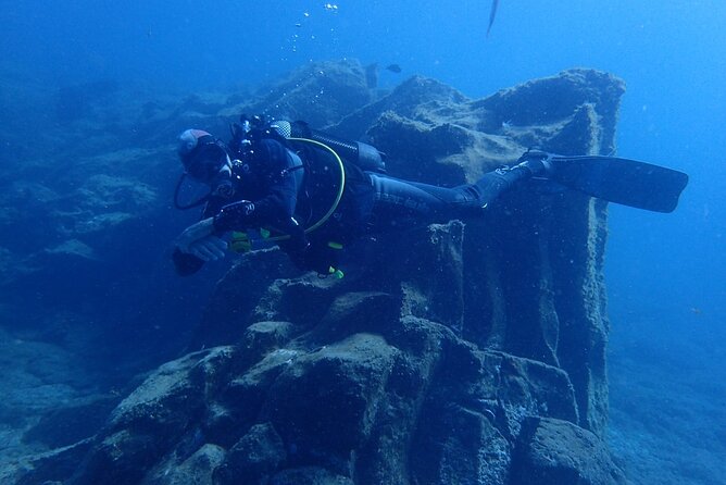 Private Dive Discovery for Beginners From a Boat - Overview and Rating