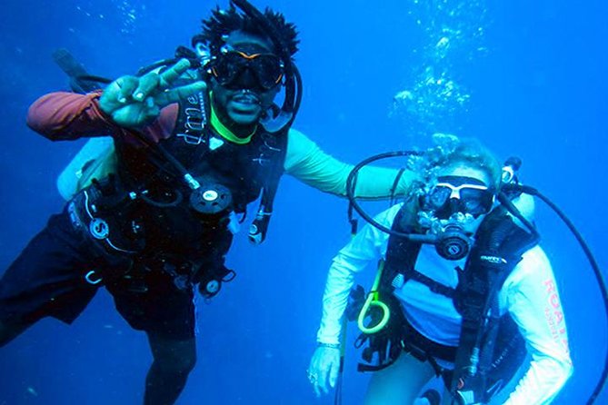 Private Dive Master 1 Tank Dive & Transportation - Included Amenities