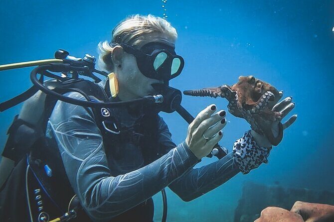 Private Dive + videographer/Photographer (Certified divers only) - Logistics, Price, and Value