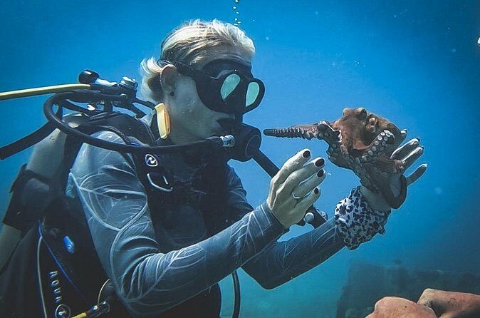 Private Dive + videographer/Photographer (Certified divers only) - Who Should Consider This Tour?