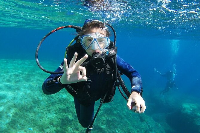 Private Diving Baptism in the Golf of Calvi - Highlights of the Activity