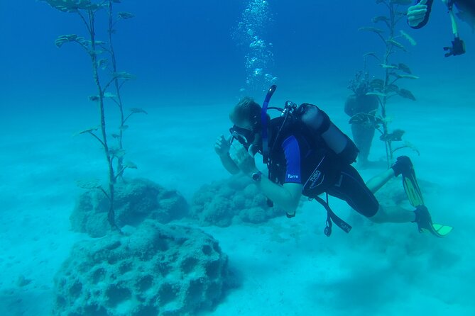 Private Diving Cyprus Experience Protaras and Ayia Napa & Turtles - Private Transportation and Diving Equipment