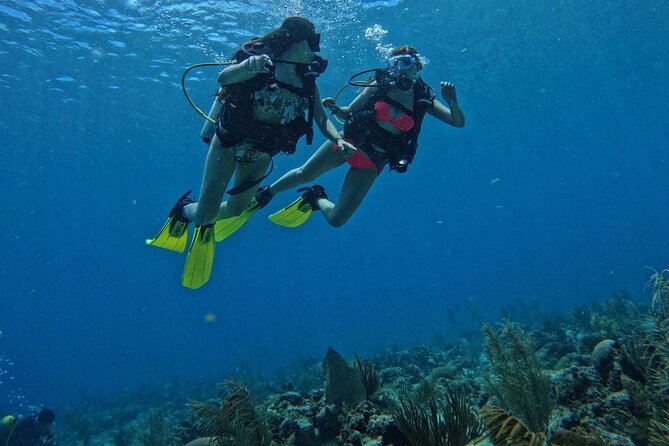 Private Diving Experience for Beginners in San Andres Islands - Pickup and Accessibility