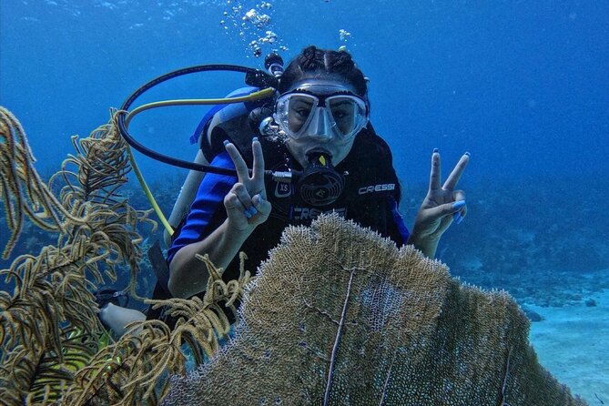 Private Diving Experience for Beginners in San Andres Islands - Additional Information