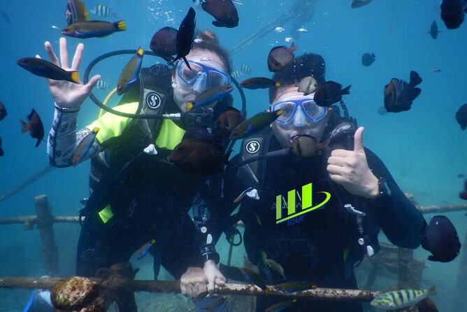 Private Diving Experience in Nusa Dua With Hotel Pick up - Good To Know