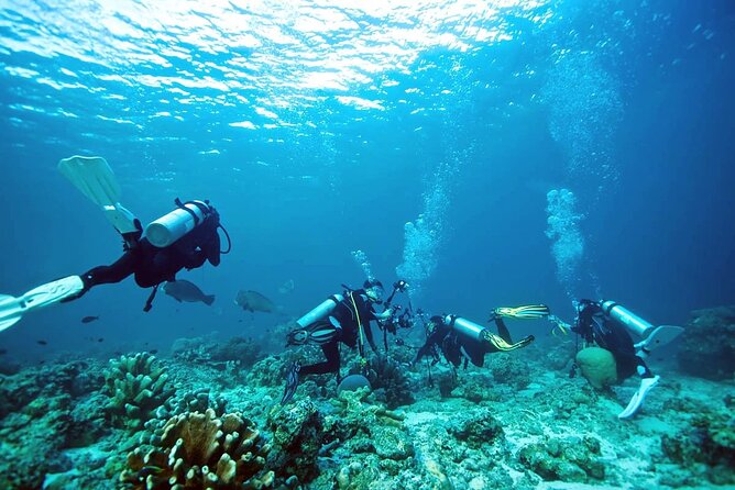 Private Diving Experience in Nusa Dua With Hotel Pick up - Included Amenities