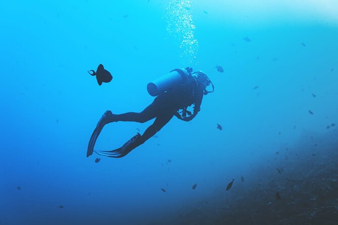 Private Diving Experience in Nusa Dua With Hotel Pick up - Certification and Safety Requirements
