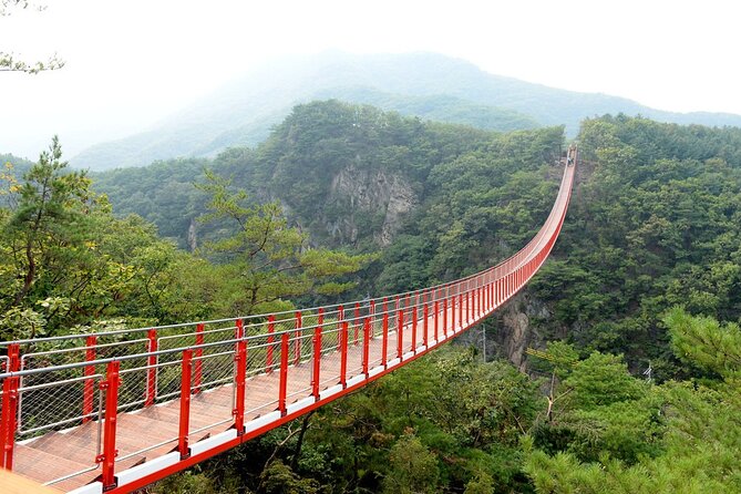 Private DMZ Peace Tour: 3rd Invasion Tunnel(Monorail) and Suspension Bridge - Logistical Details