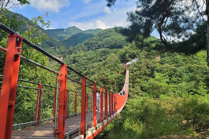 Private DMZ Tour and Suspension Bridge + Korean BBQ - Flexible Itinerary