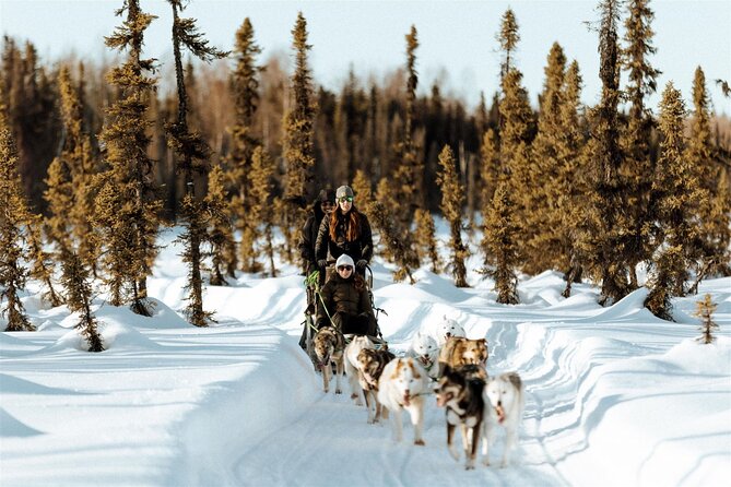 Private Dog Sled Tour - Inclusions