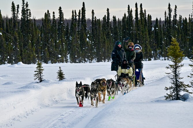 Private Dog Sled Tour - Booking Information
