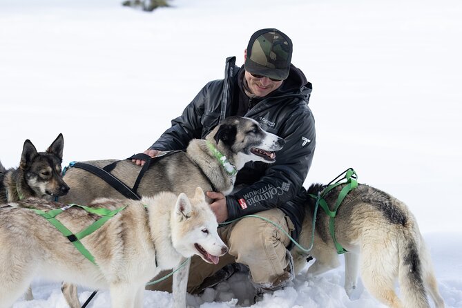 Private Dog Sled Tour - Kennel and Dog Meet