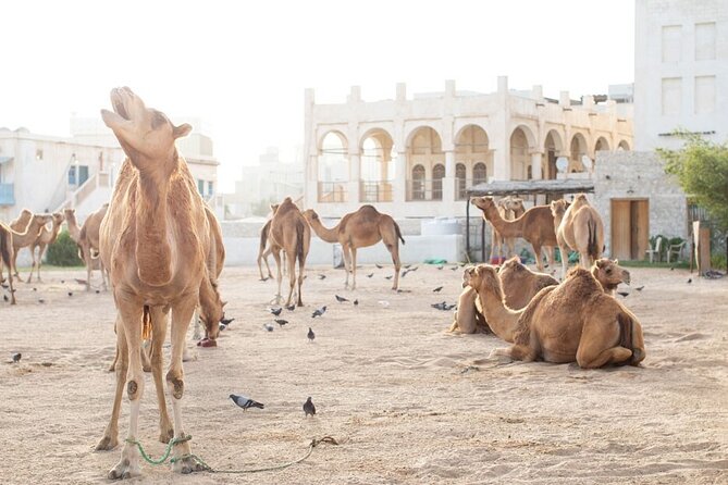 Private Doha Guided City Tour To All Main Attractions - Booking Information