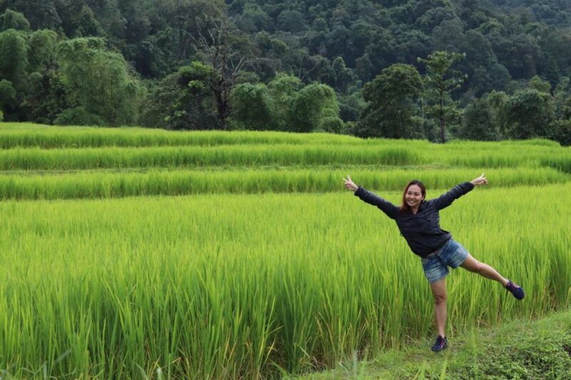 Private Doi Inthanon With Trekking Pha Dok Siew Nature Trail - Pickup, Transportation, and Logistics