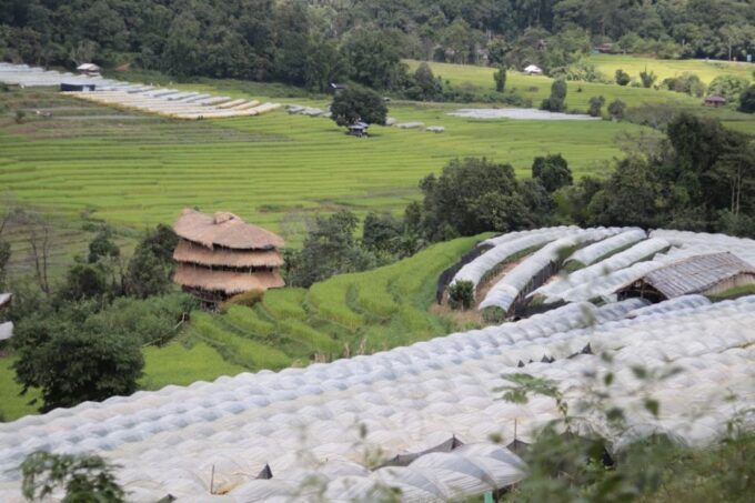 Private Doi Inthanon With Trekking Pha Dok Siew Nature Trail - Scenic Viewpoints and Landmarks