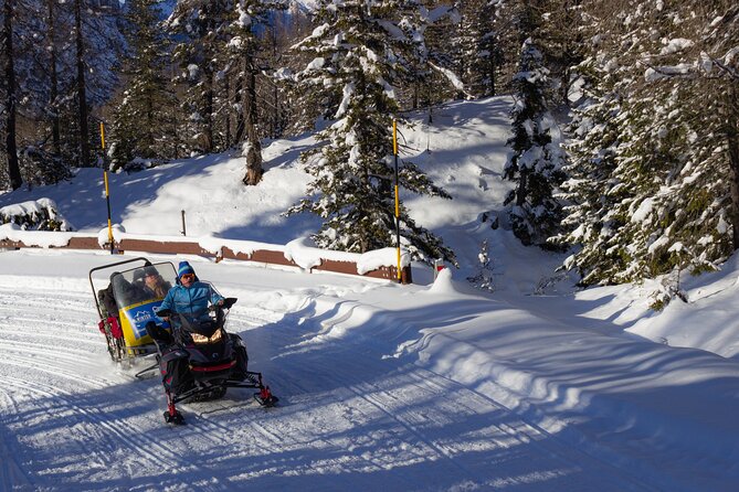 Private Dolomites Winter Day Tour From Venice - Confirmation and Accessibility