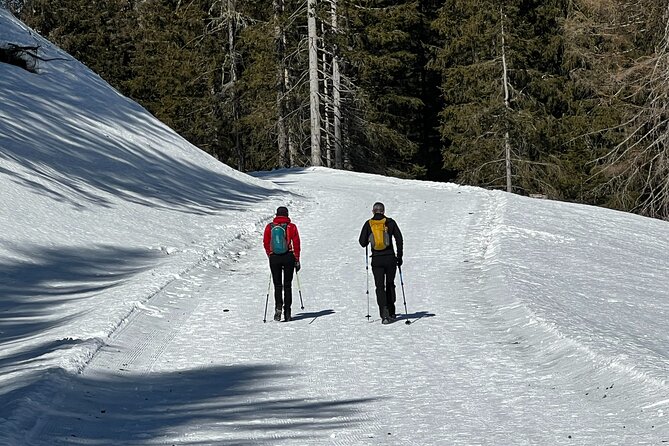 Private Dolomites Winter Day Tour From Venice - Local Cuisine Recommendations