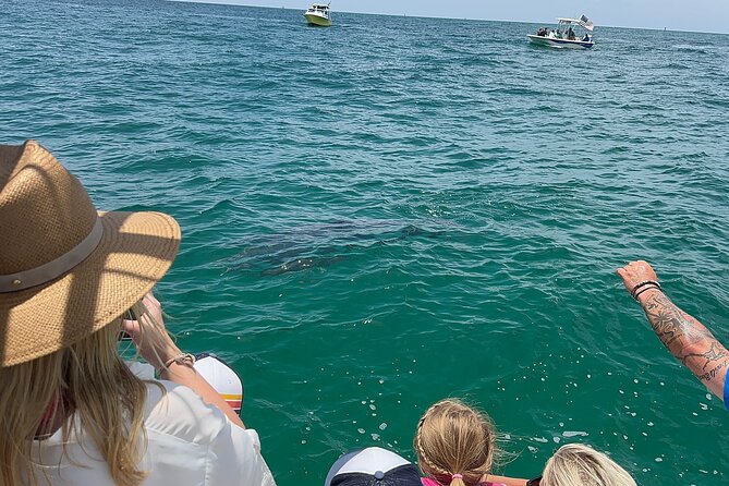 Private Dolphin and Shell Island Excursion in Panama Beach - Highlights of the Experience