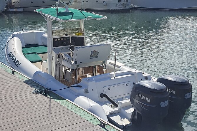 Private Dolphin and Whale Watching Tour in Newport Beach - Meeting and Pickup Details