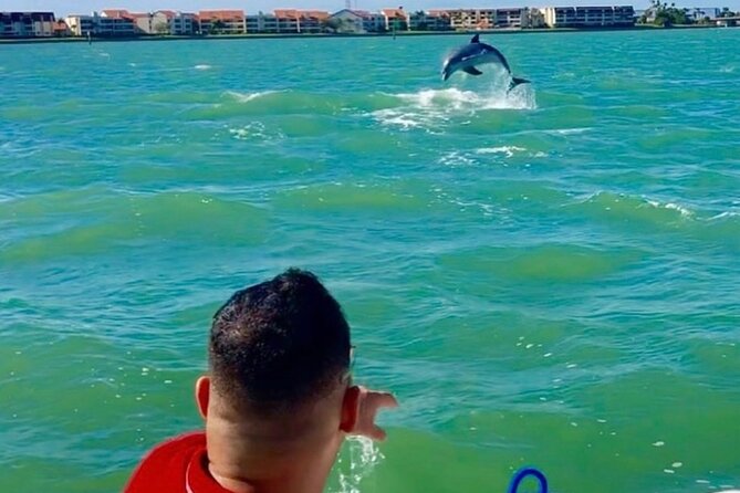 Private Dolphin & Architecture Tour in St. Petersburg, Fl - Private Experience