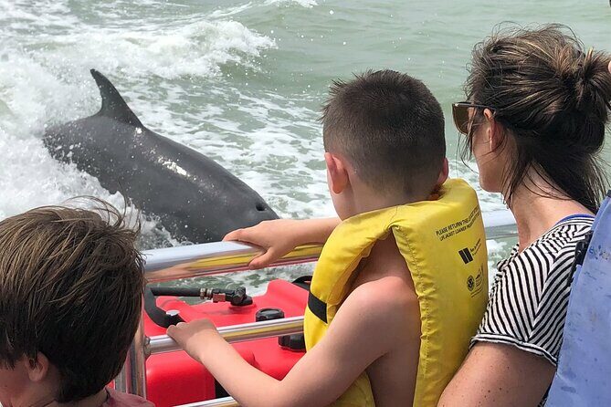 Private Dolphin, Shelling and Birding Tour - An In-Depth Look at the Tour Experience