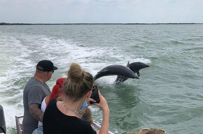 Private Dolphin, Shelling and Birding Tour - Frequently Asked Questions