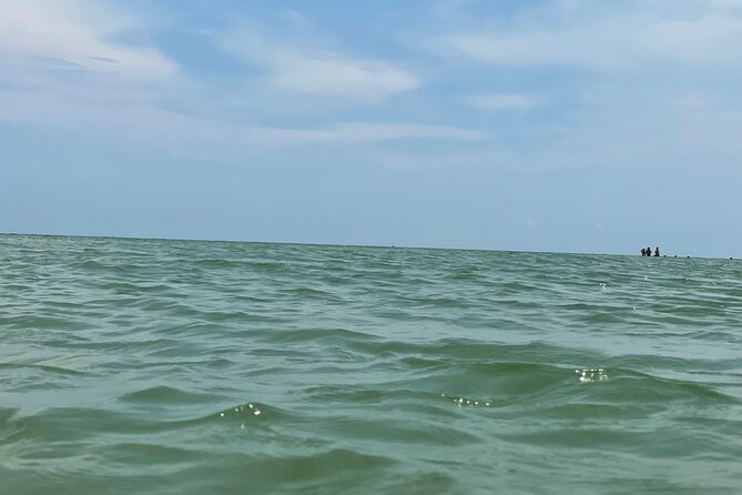 Private Dolphin & Sightseeing Boat Day Tour - Tour Highlights and Experiences