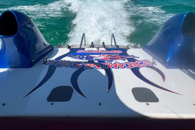 Private Dolphin Spotting Thrill Ride in Destin - Accessibility and Participation
