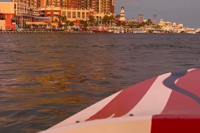 Private Dolphin Spotting Thrill Ride in Destin - Marine Life Spotting