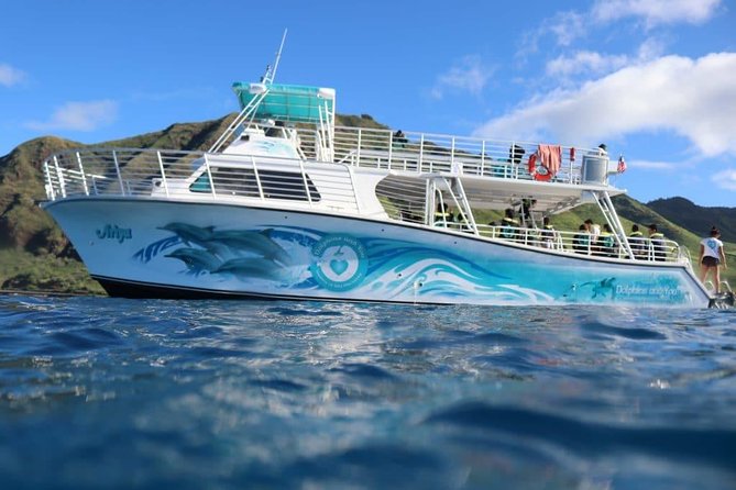Private Dolphin Swim With Slide for up to 15 Passengers - Activities Included