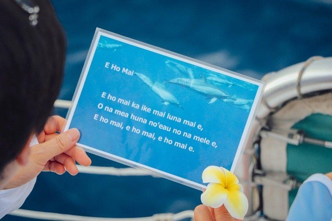 Private Dolphin Swim With Slide for up to 15 Passengers - Private and Personalized
