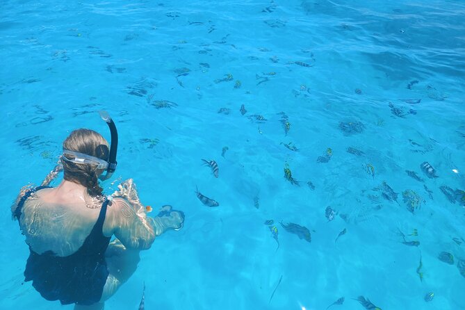 Private Dolphin Tour and Snorkeling at Mnemba Island Reef - Included Amenities and Accessibility