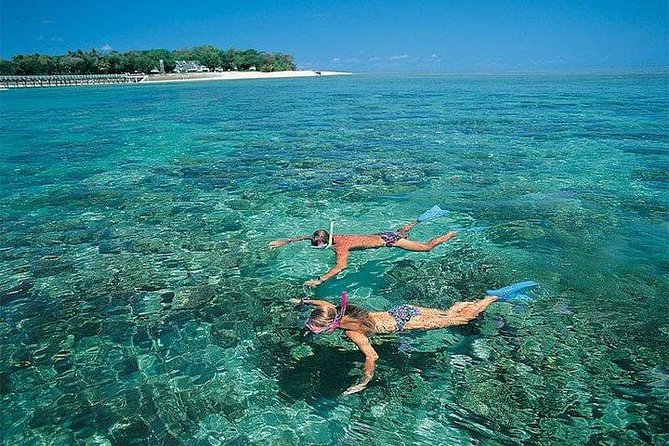 Private Dolphin Tour and Snorkeling at Mnemba Island Reef - Cancellation Policy