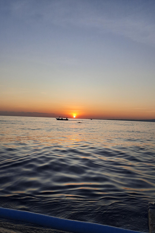 Private Dolphin Tour, Swim With Dolphin and Snorkeling - Key Points