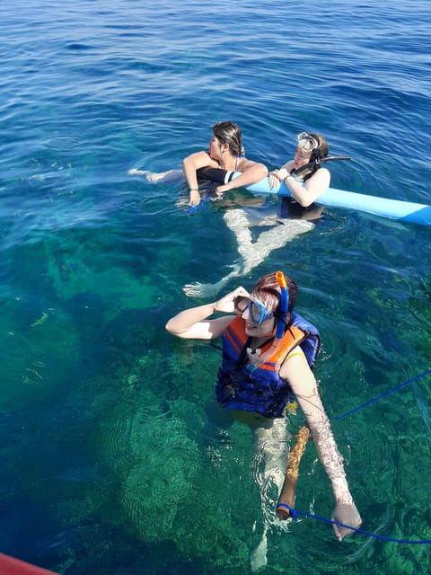 Private Dolphin Tour, Swim With Dolphin and Snorkeling - Experience Details