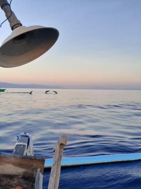 Private Dolphin Tour, Swim With Dolphin and Snorkeling - Snorkeling Experience