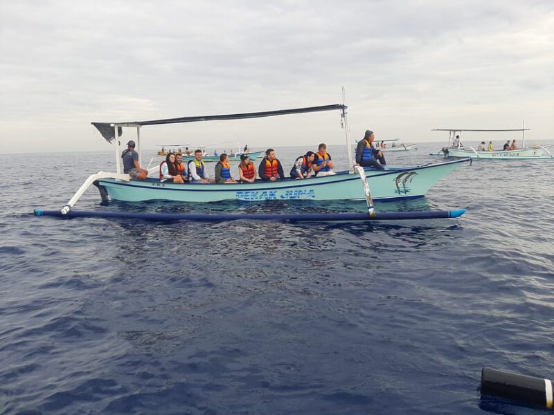 Private Dolphin Tour, Swim With Dolphin and Snorkeling - Suitability