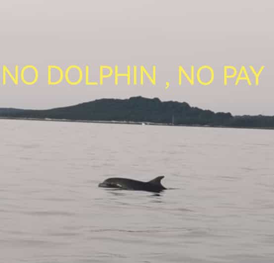 Private Dolphin Tour With Speedboat, No Dolphin No Pay - Booking Information