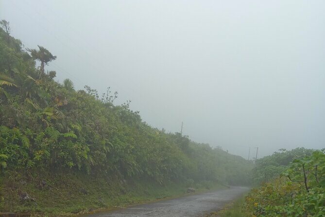 Private Dominica Tour to Trafalgar Falls &Titou Gorge via Minibus - Analyzing Value: Is It Worth the Cost?