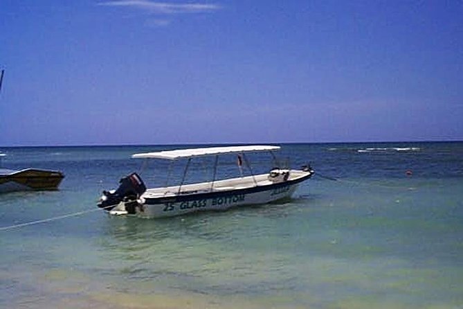 Private Double Reef Snorkel Tour With Optional Parasail Upgrade - Inclusions