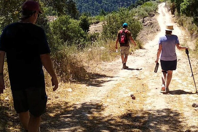 Private Douro and Porto 4x4 Tour With Wine Tasting and Boat Trip - Personalized Tour Options